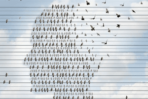 Patient Advocates for Seniors in South Florida